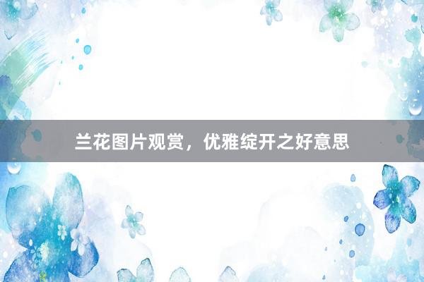 兰花图片观赏，优雅绽开之好意思