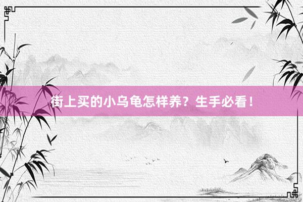 街上买的小乌龟怎样养？生手必看！
